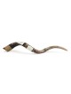 Ten Commandments and Temple Hand Painted Kudu Shofar